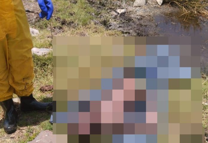 Corpo de homem é encontrado em lagoa de Feira de Santana