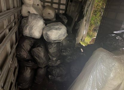 Polícia Militar apreende uma tonelada de maconha em trecho da BA-524; motorista é preso