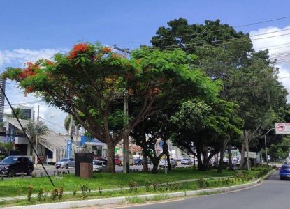 Feira de Santana está entre os 10 municípios selecionados para receber verba federal contra calor extremo